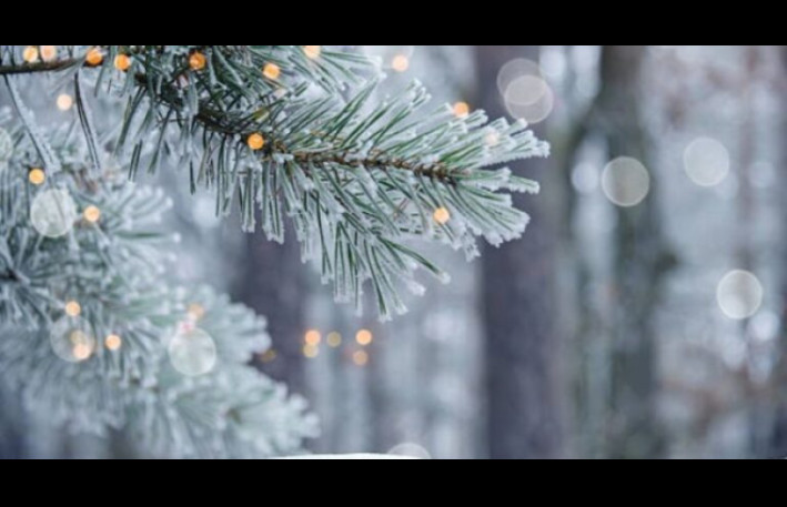 ƏHALİYƏ XƏBƏRDARLIQ: Bu tarixdə Bakıya güclü qar yağacaq