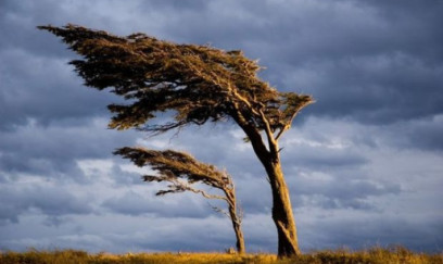 Güclü külək ilə bağlı XƏBƏRDARLIQ