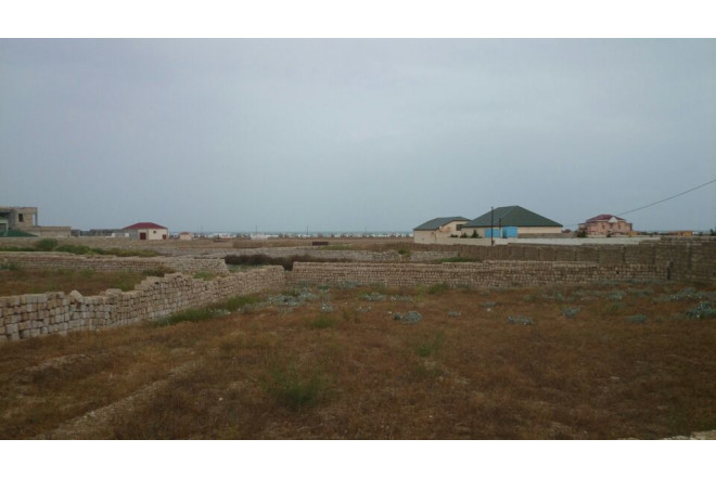 Torpaq kəskin bahalaşdı - VİDEO