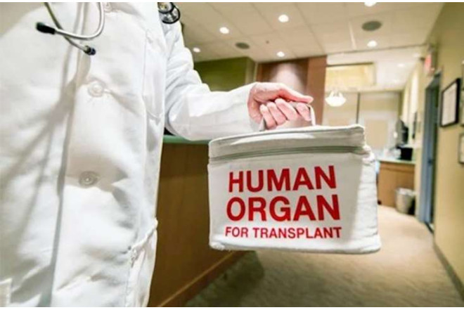 Təhsil eksperti orqanlarını bağışladı 