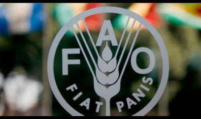 Türkmənistanda BMT-nin konfransı keçiriləcək 