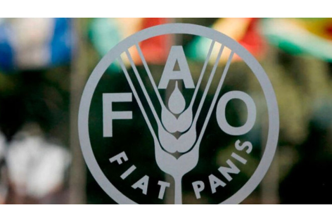 Türkmənistanda BMT-nin konfransı keçiriləcək 