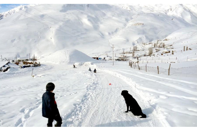 Zaqatalaya 30 sm qar yağıb - FAKTİKİ HAVA