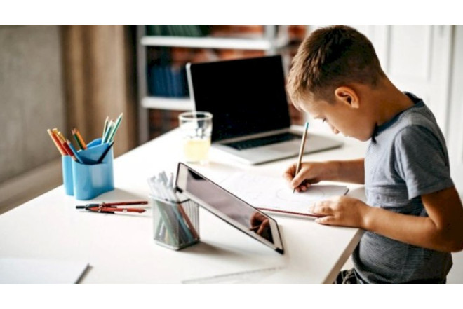 Hansılar məktəblər distant təhsil tətbiq edəcək?