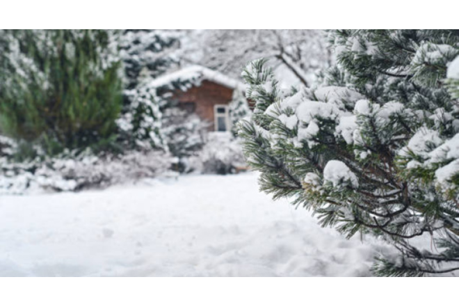 Ölkə ərazisində yağıntılı hava müşahidə olunur - FAKTİKİ HAVA