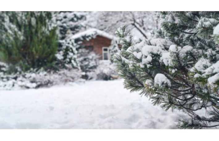 Ölkə ərazisində yağıntılı hava müşahidə olunur - FAKTİKİ HAVA