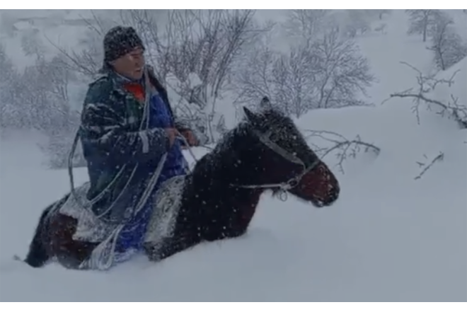 Lerikin dağ kəndlərində belə işığın verilişi bərpa ediləcək - VİDEO