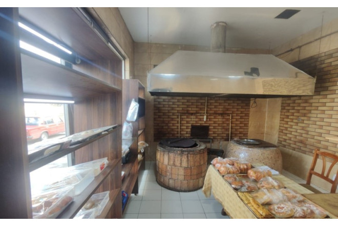 Ət qutabında at DNT-si aşkarlandı - VİDEO