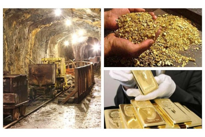 Ölkəmizə hər gün milyonlarla dollar qazandırır - REYTİNQ