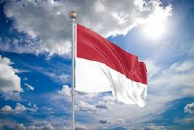 İndoneziyada torpaq sürüşməsi olub, 7 nəfər ölüb