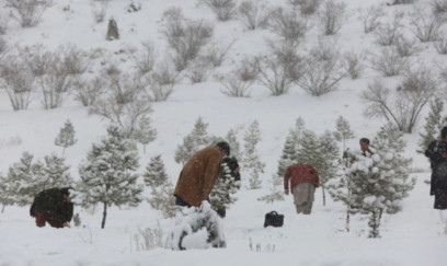 ABŞ-də 740 min ev elektriksiz qalıb 
