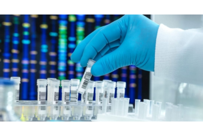 Dəhşətli virus sürətlə yayılır – Azərbaycan da TƏHLÜKƏDƏ?