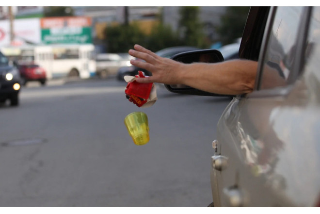 Avtomobildən küçəyə zibil atan sürücü həbs edildi