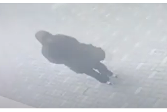 Həmin qara paltarlı qadın tutuldu - VİDEO