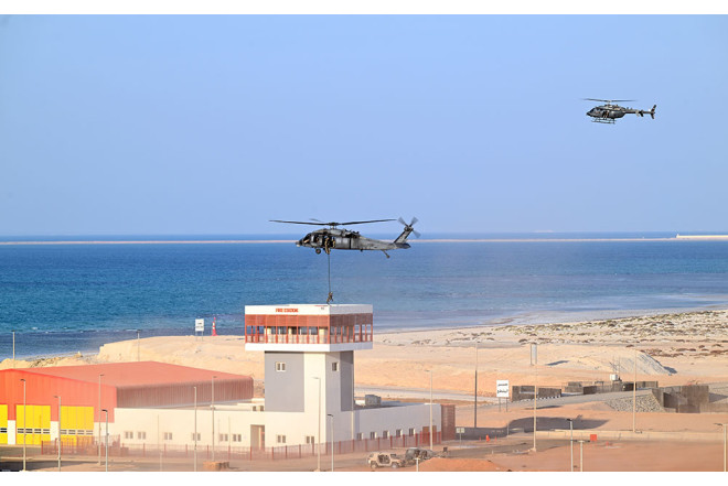 Azərbaycan və BƏƏ hərbçiləri təlimdə - Video 