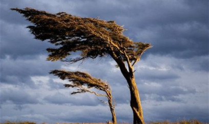Küləkli hava şəraiti ilə bağlı sarı xəbərdarlıq verilib 