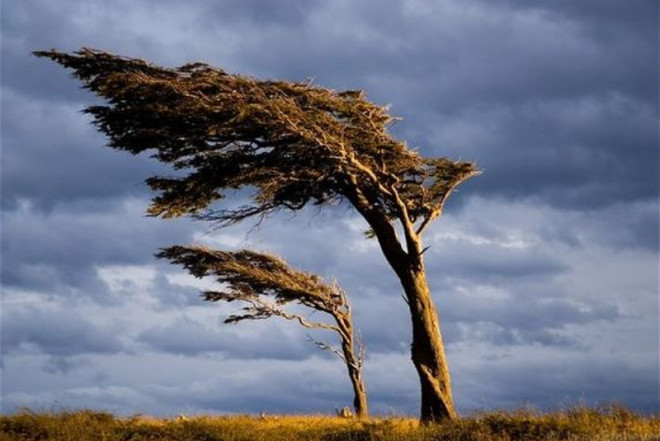 Küləkli hava şəraiti ilə bağlı sarı xəbərdarlıq verilib 