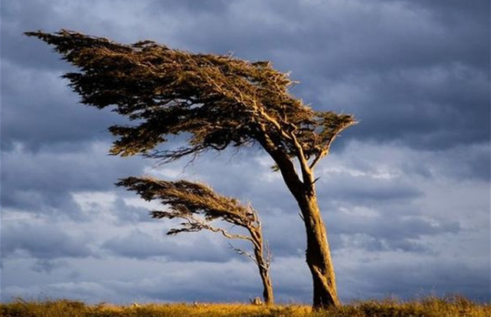 Küləkli hava şəraiti ilə bağlı sarı xəbərdarlıq verilib 