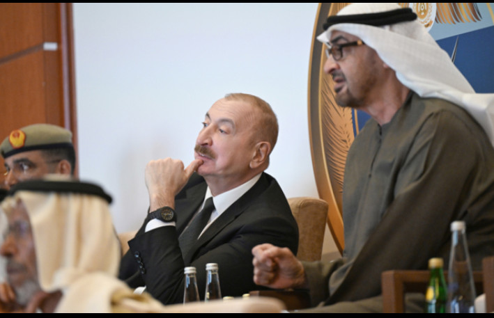 Prezident “Sülh Qalxanı - 2026” təlimini izlədi - Fotolar