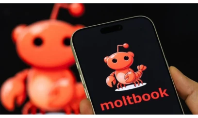 İnsanlar üçün nəzərdə tutulmayan yeni sosial media platforması yaradılıb 