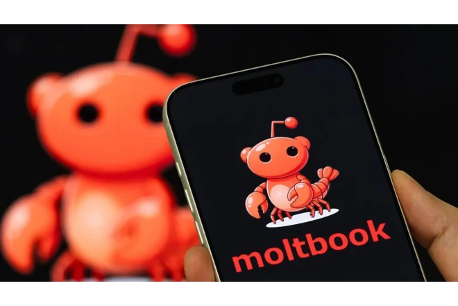 İnsanlar üçün nəzərdə tutulmayan yeni sosial media platforması yaradılıb 