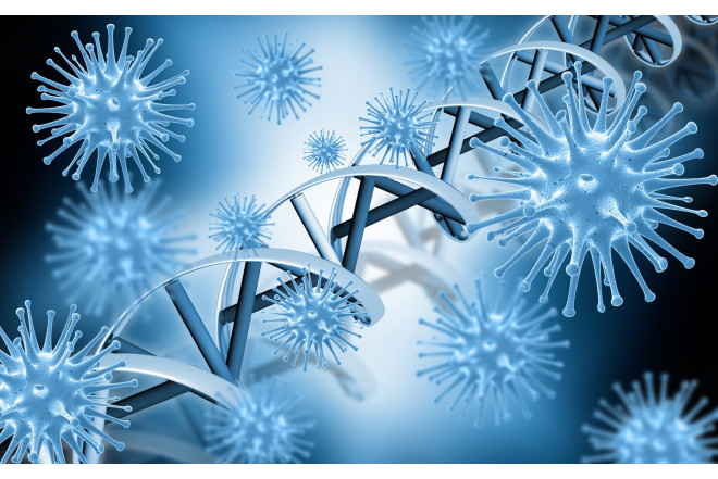 Tibbdə "Epşteyn-Barr"adlı virus varmış 