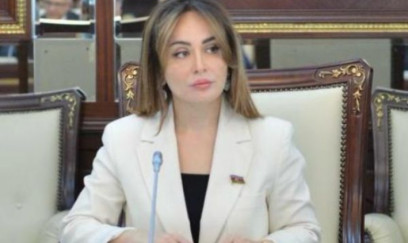 “Azərbaycanın sülh təşəbbüsləri növbəti dəfə ən yüksək səviyyədə nümunə kimi təqdim olundu” 