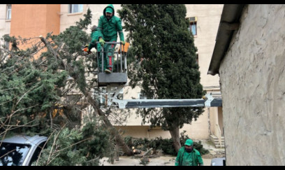 Güclü külək bu qədər maşın və evə ziyan vurdu 