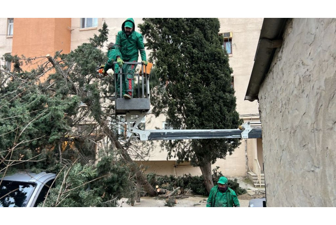 Güclü külək bu qədər maşın və evə ziyan vurdu 