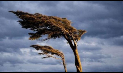 Güclü külək əsəcək - XƏBƏRDARLIQ