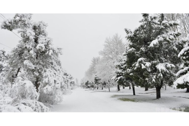 Yağıntılı hava şəraiti nə vaxtadək davam edəcək? 