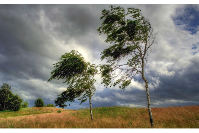 Küləkli hava ilə bağlı XƏBƏRDARLIQ