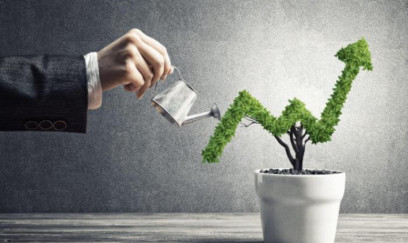 Dövlət bu hallarda sərmayəni investordan ala bilər 