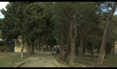 Məşhur "Pitomnik bağı" ləğv edilir? - Rəsmi açıqlama 