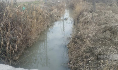 Kürdəmirdə kanalda meyit tapıldı 