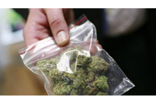 Keçmiş məhkumda 7 kq marixuana aşkarlandı 