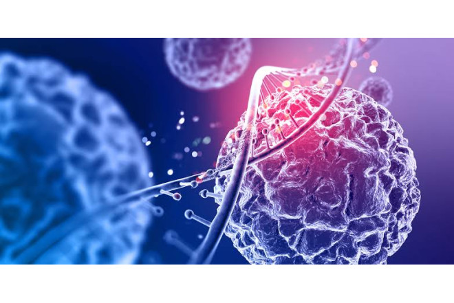 Bu meyvə xərçəngin dərmanıdır 