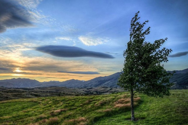 Bakıda və bölgələrdə külək güclənəcək - XƏBƏRDARLIQ