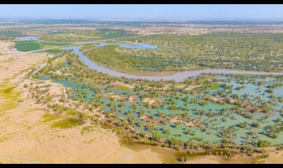 Çinin ağacəkmə layihəsi Taklamakan səhrasını karbon udan əraziyə çevirib 