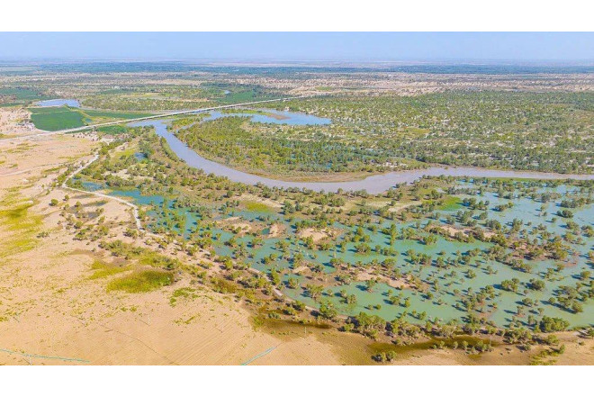 Çinin ağacəkmə layihəsi Taklamakan səhrasını karbon udan əraziyə çevirib 