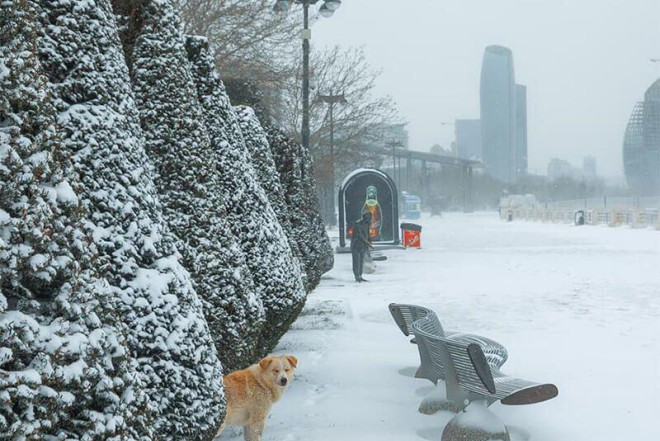 Bahar havası bitir, leysan, qar gəlir - XƏBƏRDARLIQ