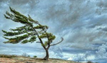 Temperatur 4-6 dərəcə enəcək QAR YAĞACAQ