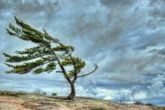 Temperatur 4-6 dərəcə enəcək QAR YAĞACAQ