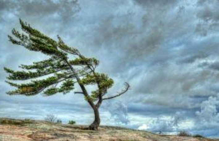 Sabah güclü külək əsəcək - Xəbərdarlıq