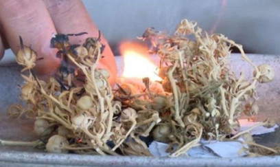 Üzərlikdən istifadə məhdudlaşdırıla bilər? 