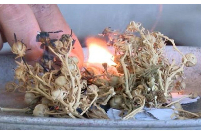 Üzərlikdən istifadə məhdudlaşdırıla bilər? 