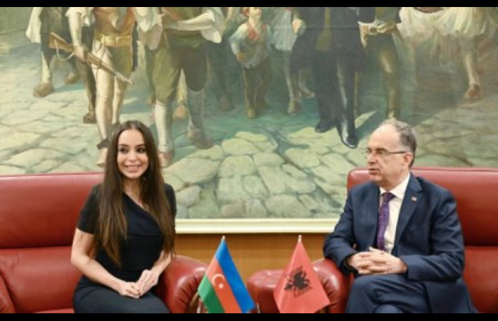 Leyla Əliyeva Albaniyaya səfərindən görüntülər paylaşıb - VİDEO