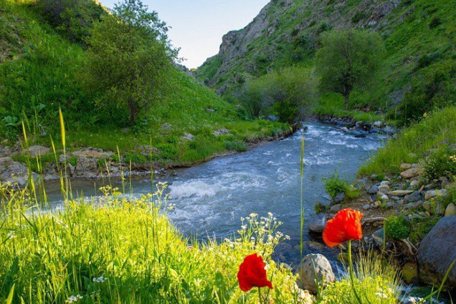 Üç gün sonra ilk çərşənbəni qeyd edəcəyik 