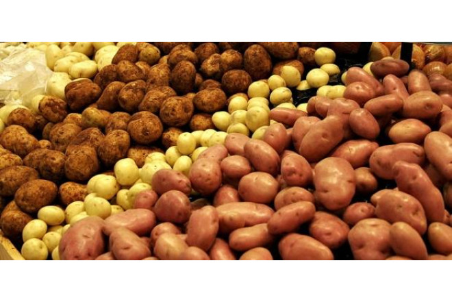 Rayonda kilosu 50 qəpik olan kartof şəhərdə niyə 1manata satılır? - SƏBƏB BUDUR