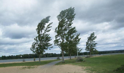 Bakıda güclü külək əsir – Faktiki hava 